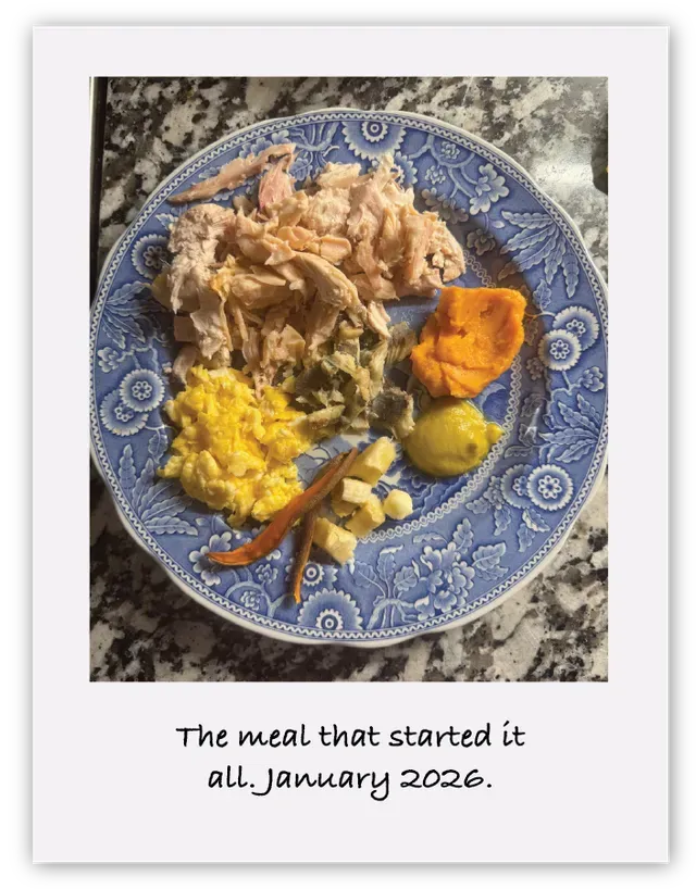 A handwritten polaroid of a plate of rotisserie chicken, sweet potatoes, and green beans — the meal that brought Stella back to eating.